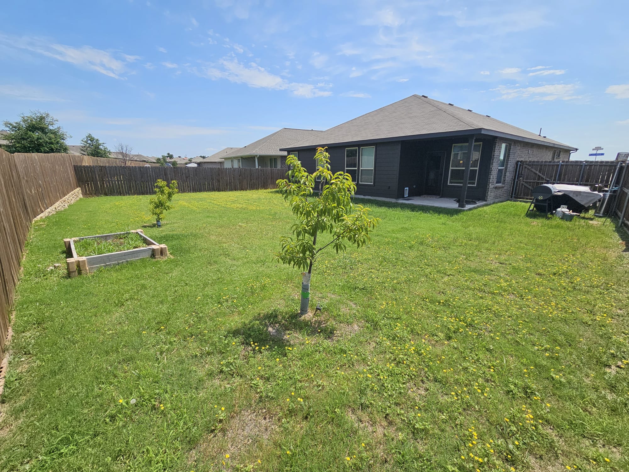 Backyard-min